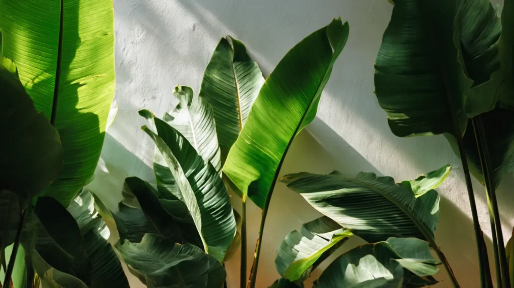 A Towering Bird of Paradise